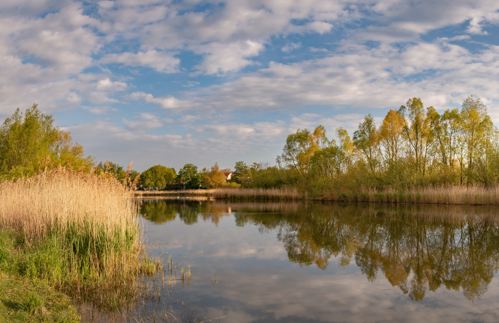 Teichlandschaft Foto & Bild natur, landschaft Bilder auf