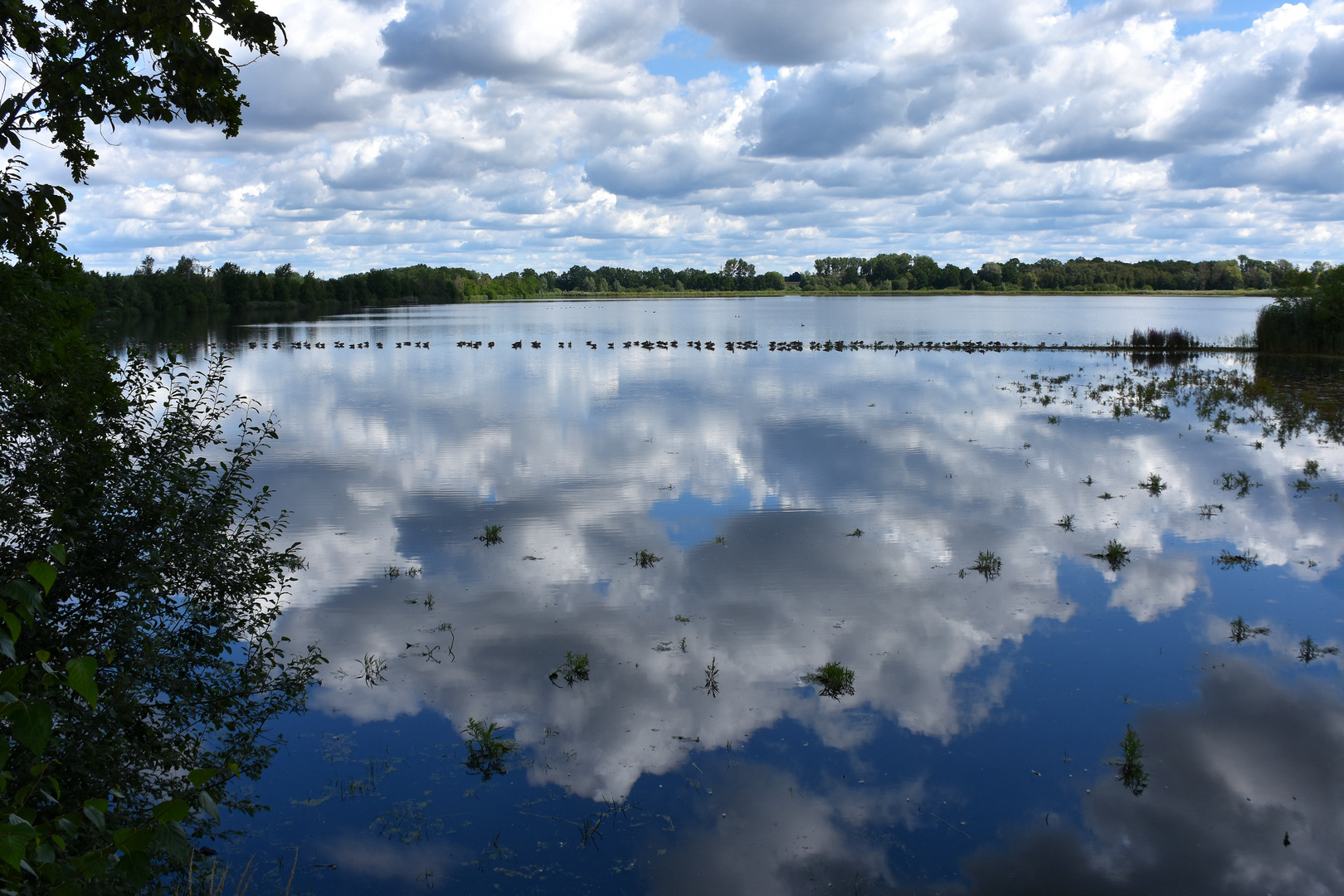 Teichlandschaft