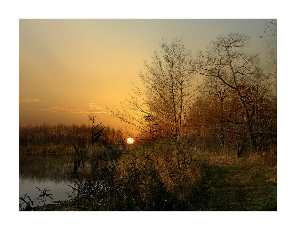 Teichlandschaft im Herbst