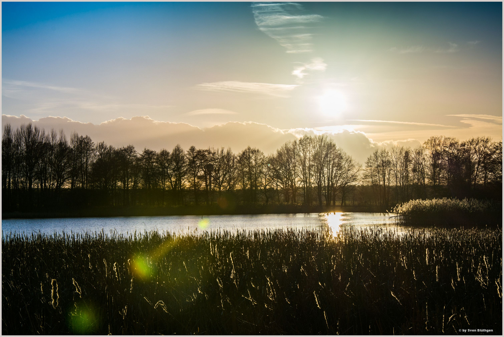 Teichlandschaft in der Abendsonne