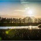 Teichlandschaft in der Abendsonne