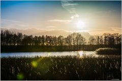 Teichlandschaft in der Abendsonne