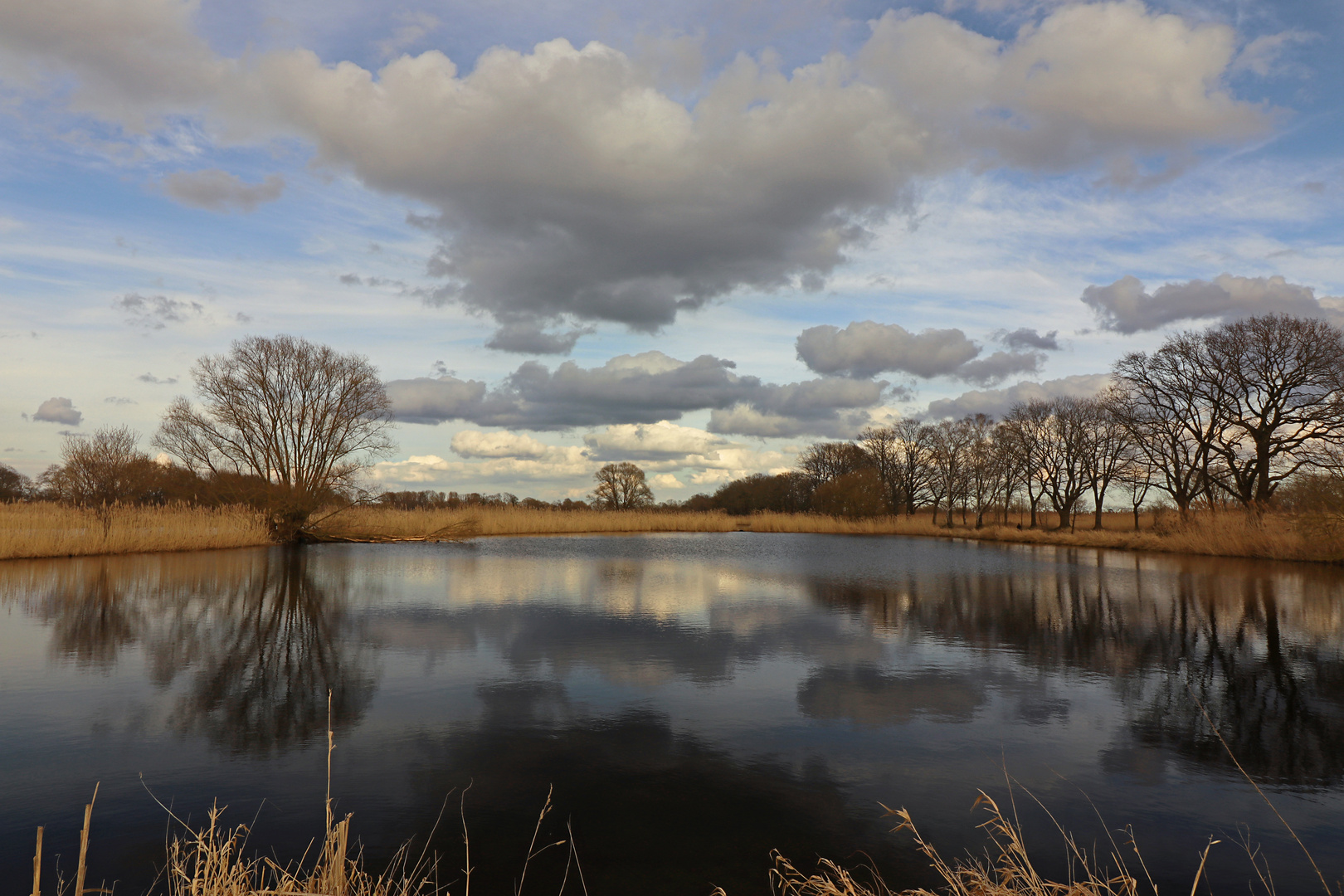 Teichlandschaft mit Wolken