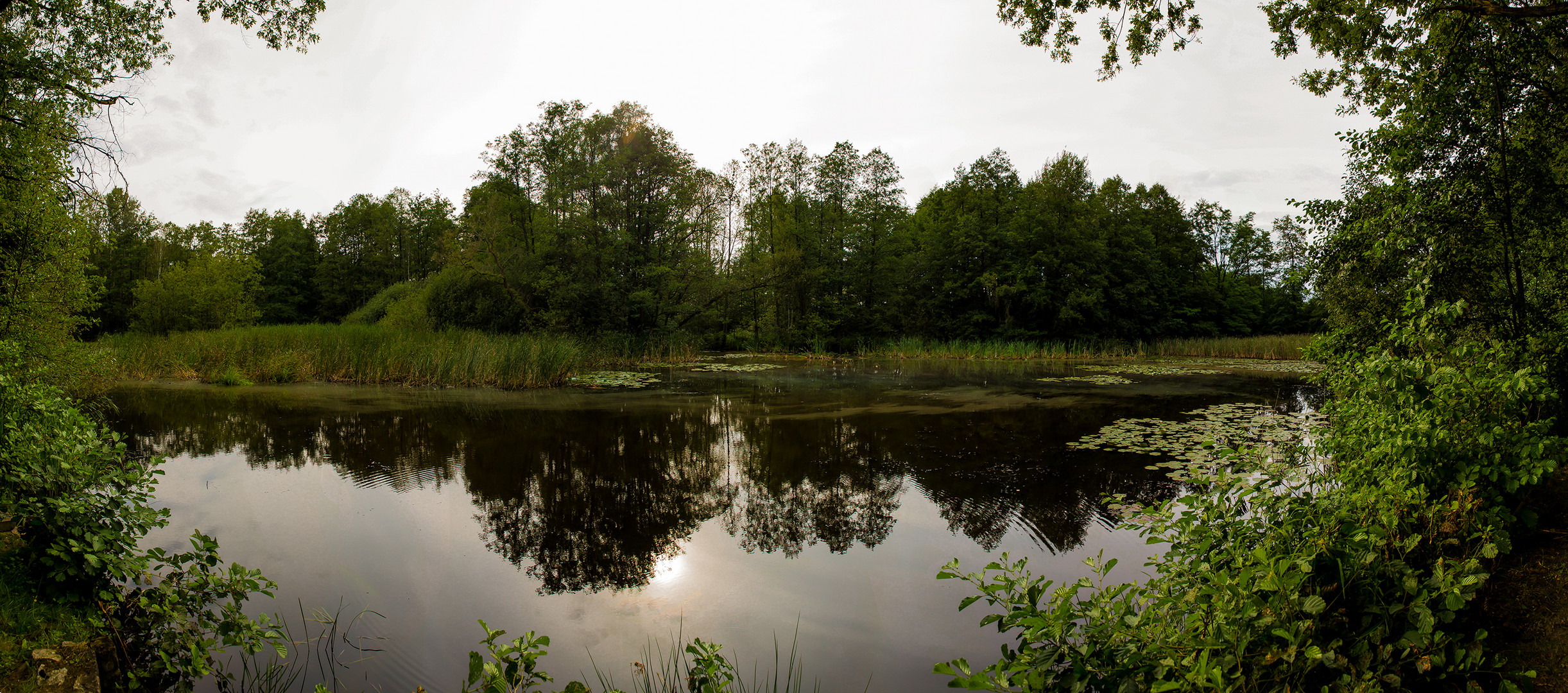 Teichlandschaft-Pano