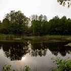 Teichlandschaft-Pano