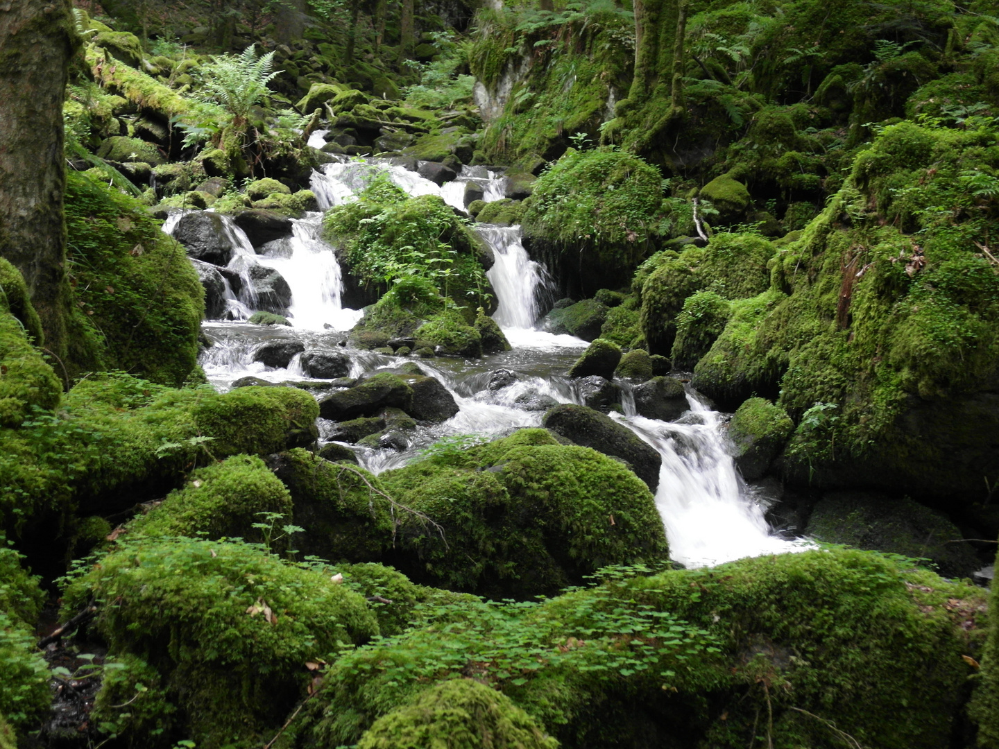 Teichschlucht