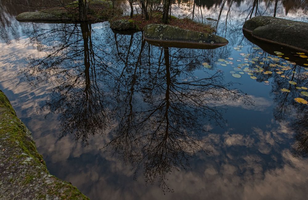 Teichspiegelung 3