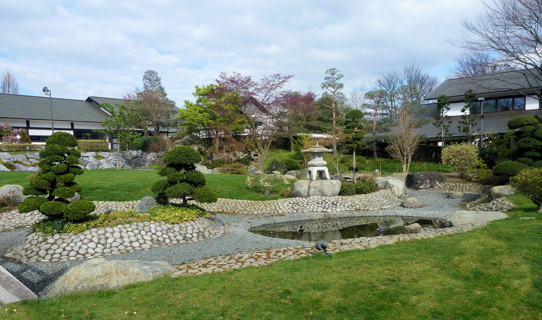 Teichspiegelung im Japanischer Garten....