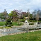 Teichspiegelung im Japanischer Garten....