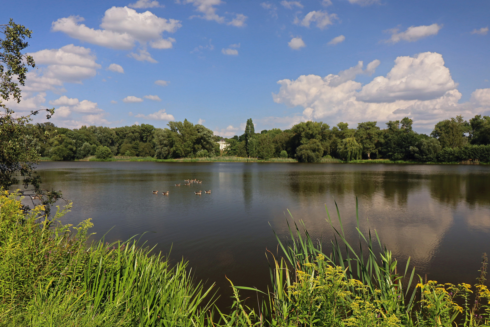 Teichufer mit Schlossblick