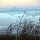 Teide