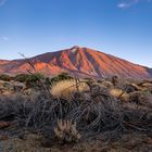 Teide