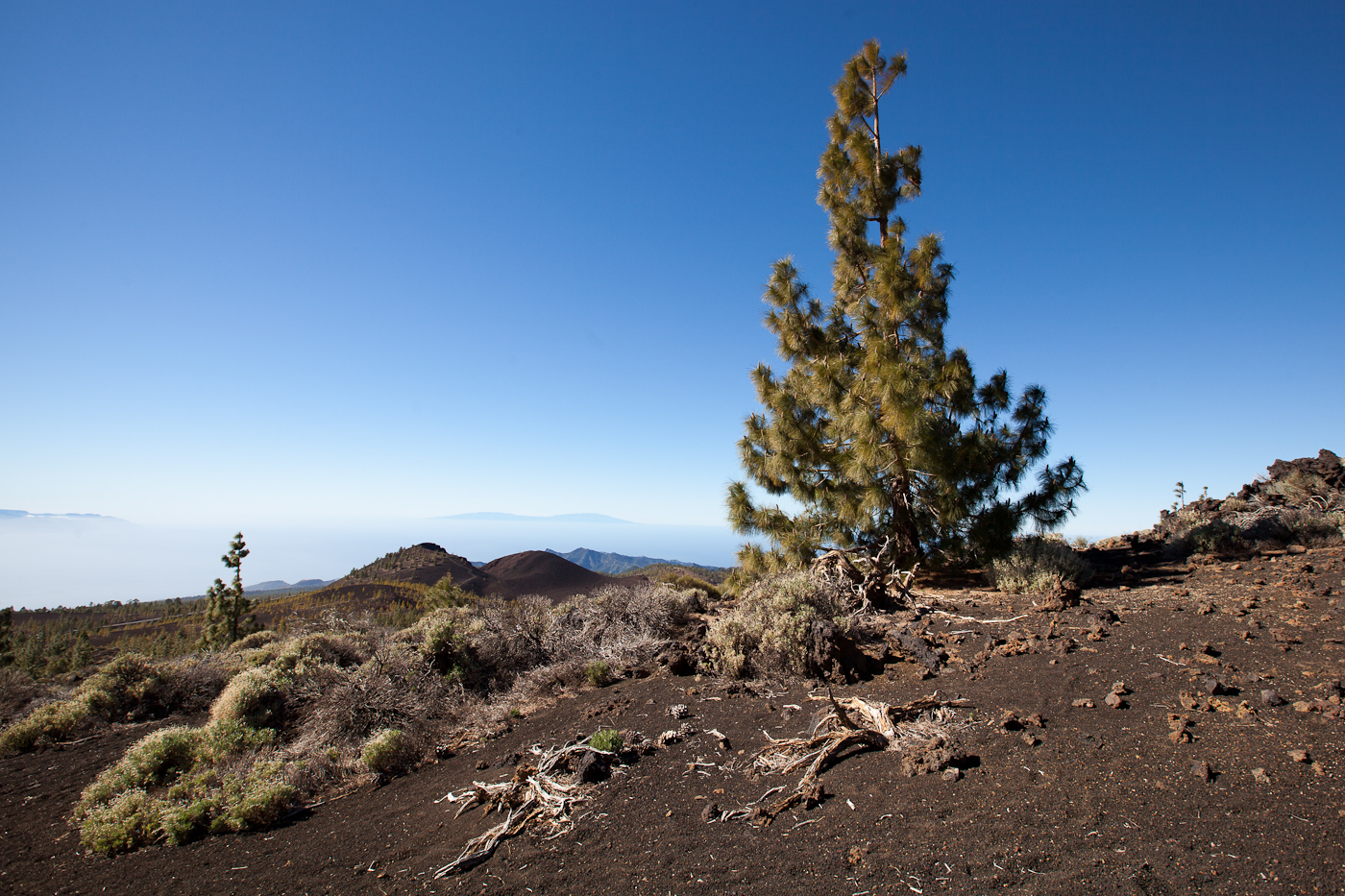 Teide 11