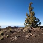 Teide 11