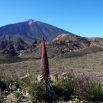 Teide