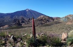 Teide