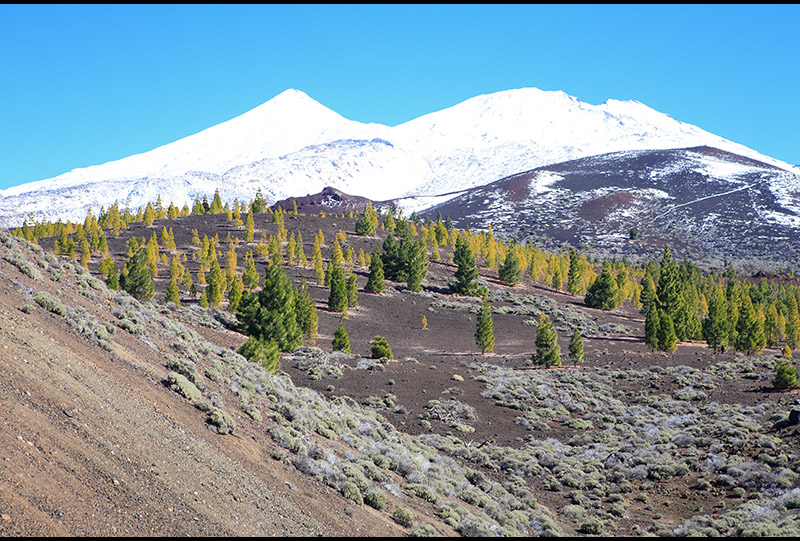 Teide