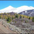 Teide