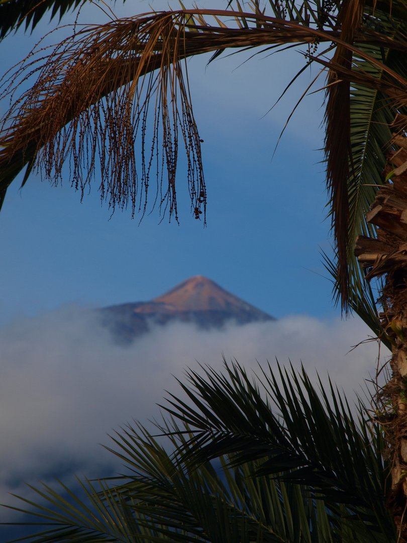 Teide