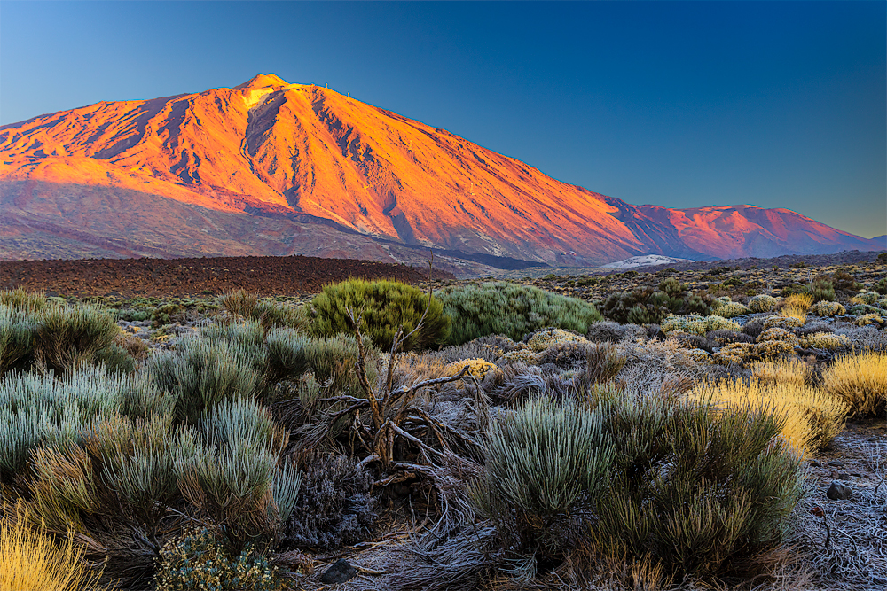 Teide