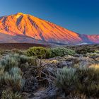 Teide