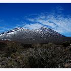 Teide