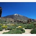 ~ Teide 2006 ~