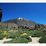 ~ Teide 2006 ~