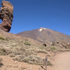 Teide