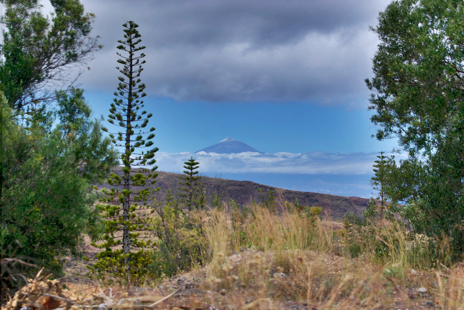 Teide