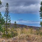 Teide