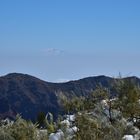 Teide