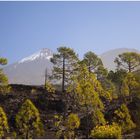 Teide