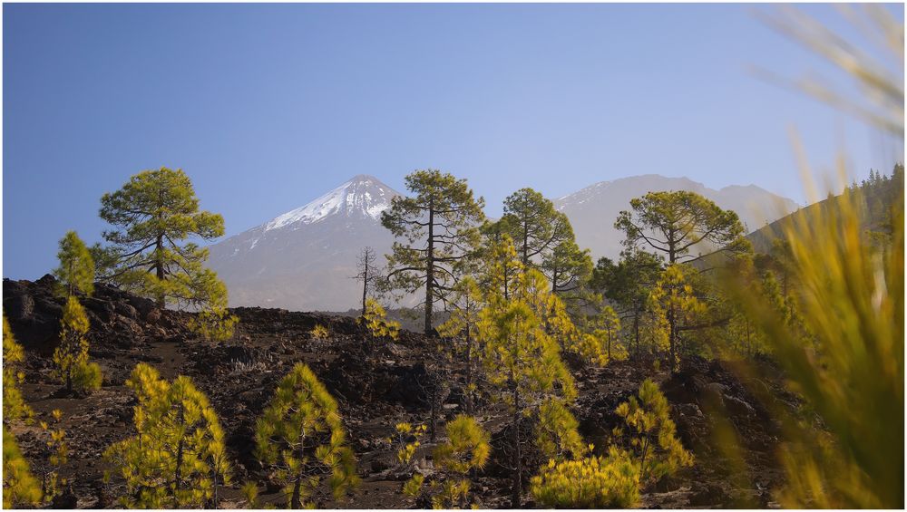 Teide