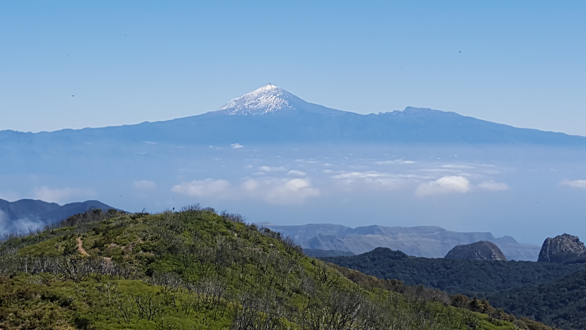 Teide