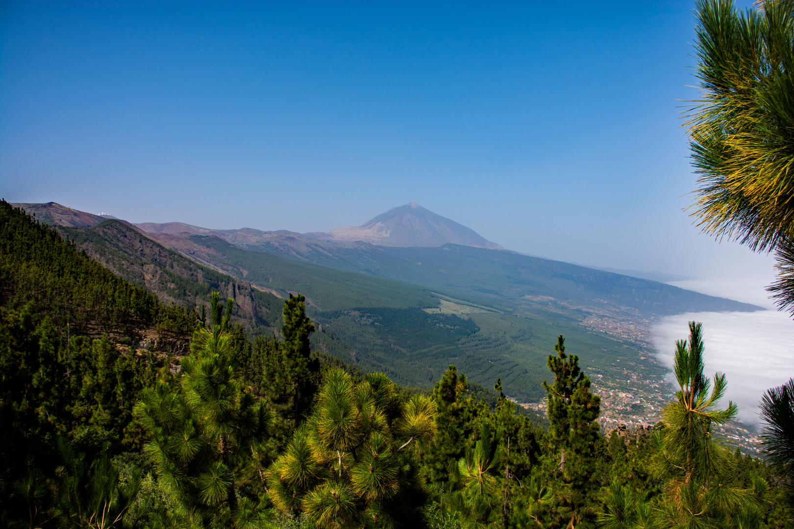 Teide