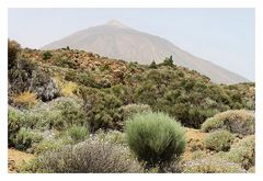 Teide-3