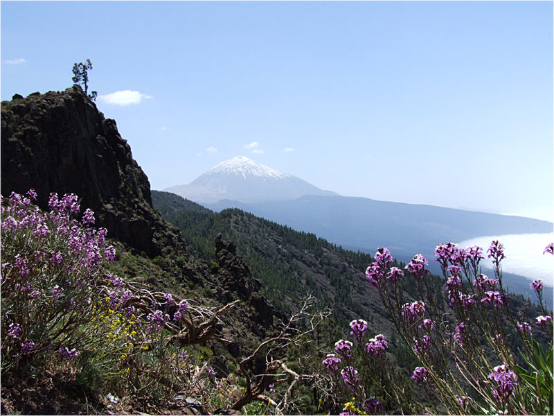 Teide 3