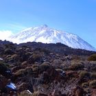 Teide