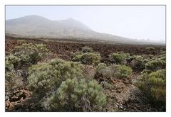 Teide-4