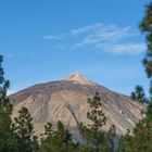 Teide