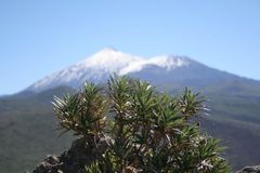 Teide