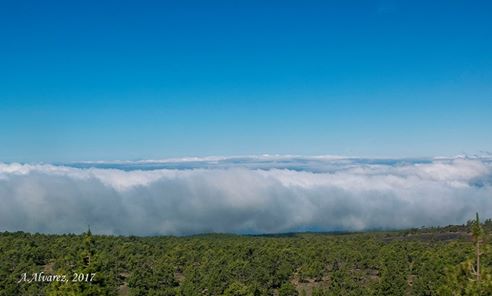 Teide, 