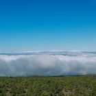 Teide, 