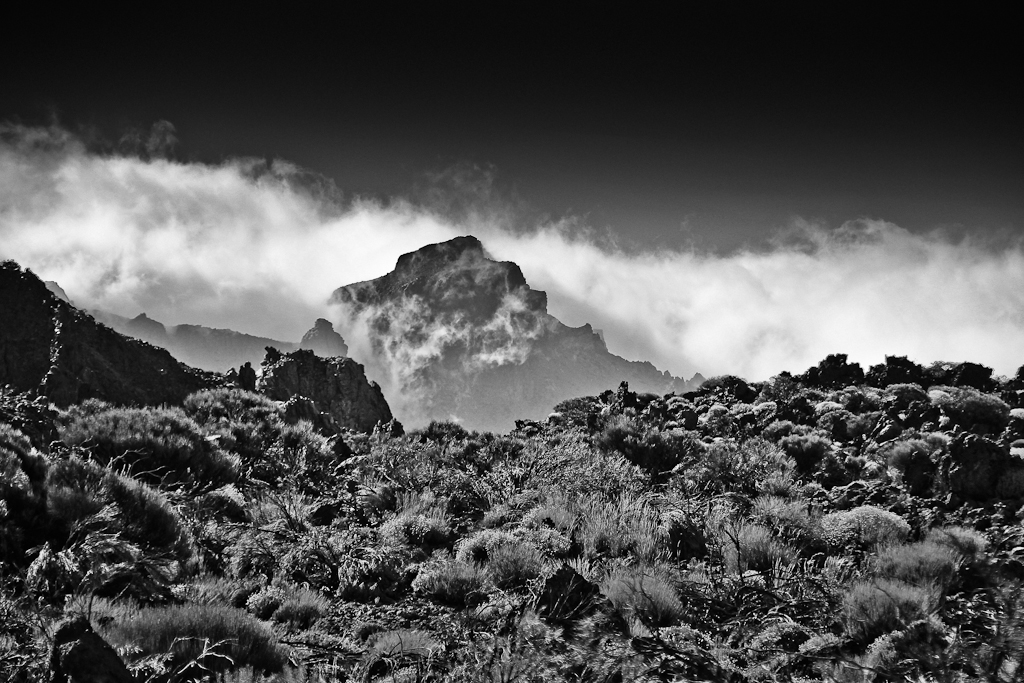 Teide