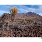 Teide