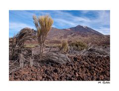 Teide