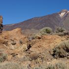 Teide