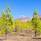 Teide