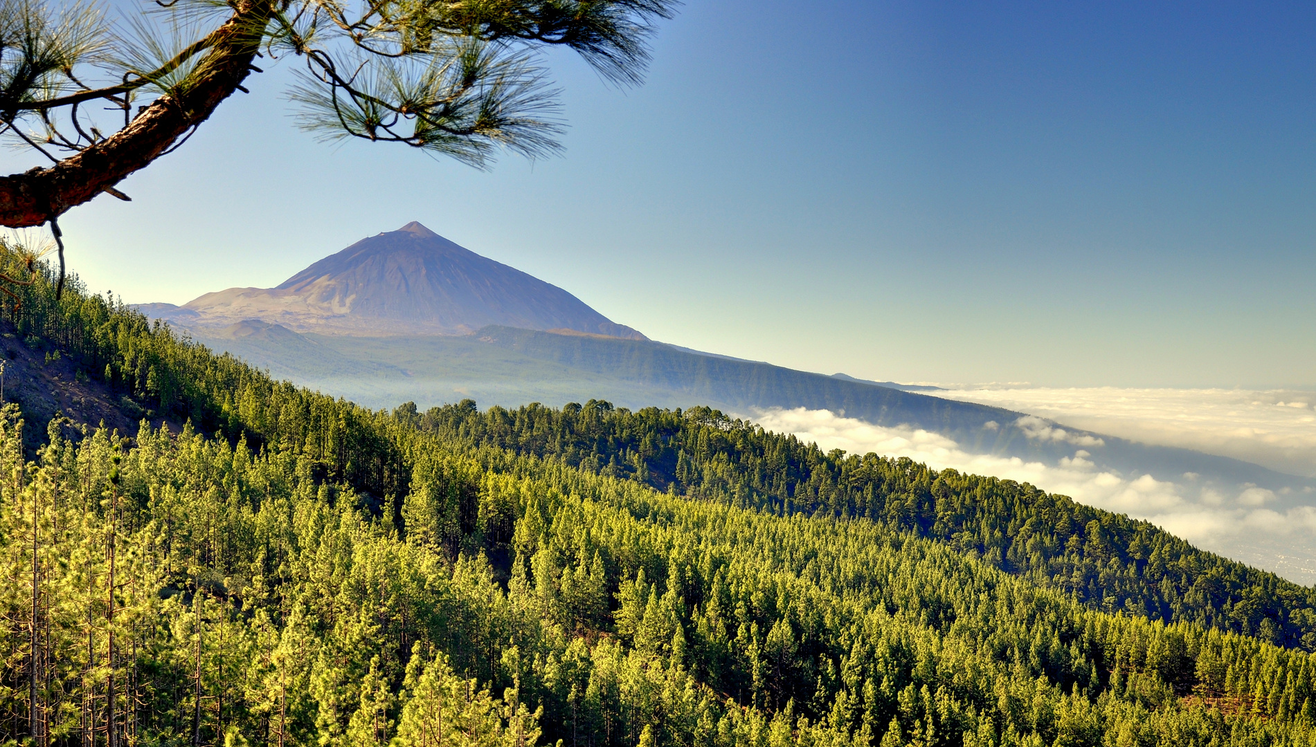 Teide